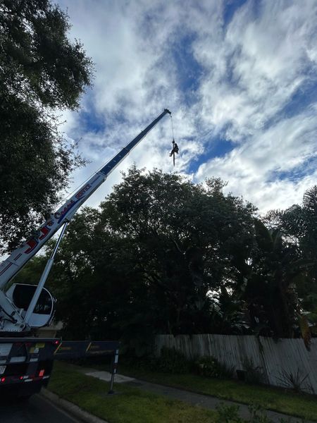 A crane lifts a person suspended in the air, likely for rescue. Blue sky with clouds, trees, and a street visible.