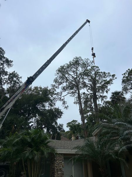 A crane is removing a tree from above a residential house on a cloudy day. The crane arm reaches high into the air.