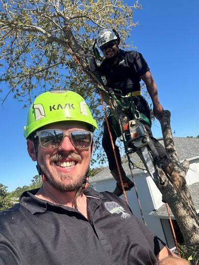 Two tree service workers; one smiling in a green helmet, the other using a chainsaw in a tree, with a sunny blue sky.