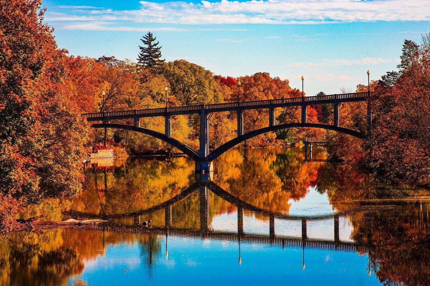 Fall Activities in Guelph, Guelph Bridge, Fall in Guelph