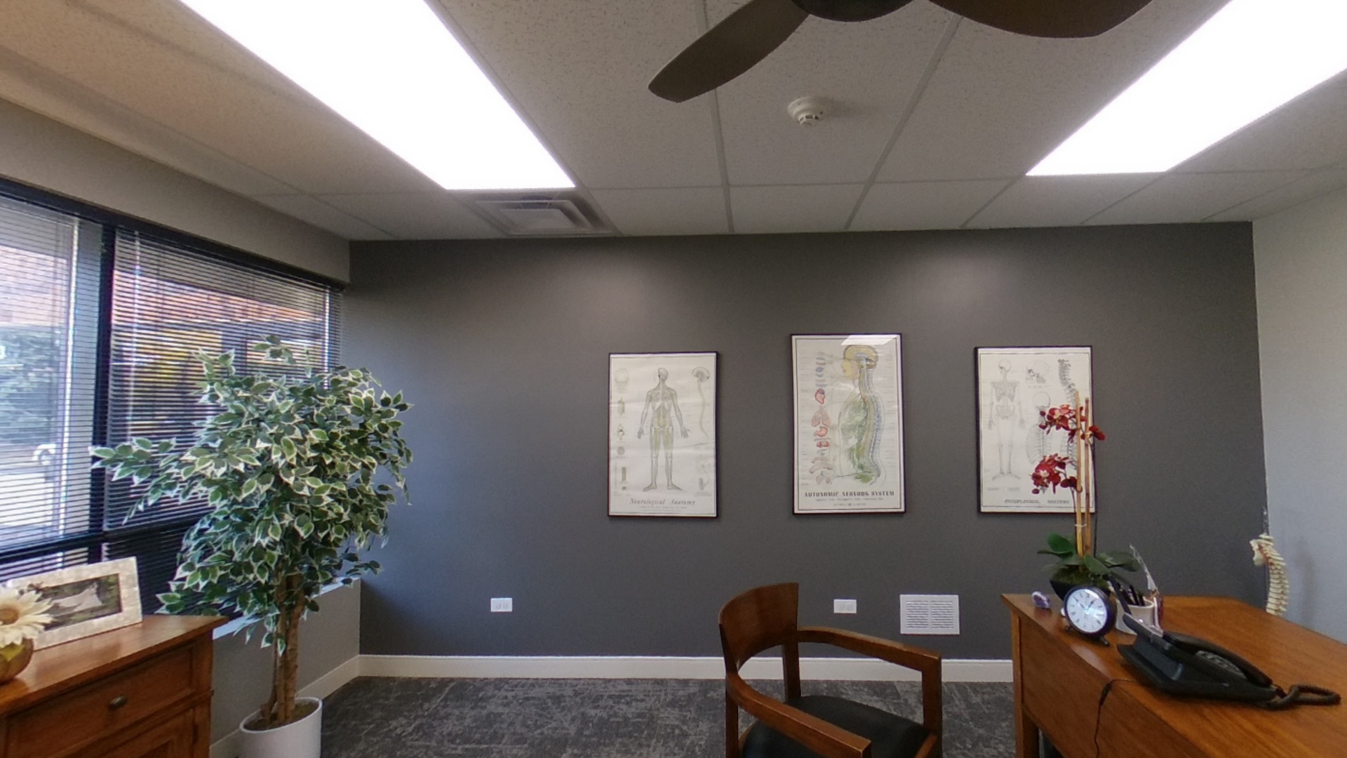 A gray-walled office with anatomical charts, a wooden desk, and a faux plant. A wooden chair sits in front of the charts.