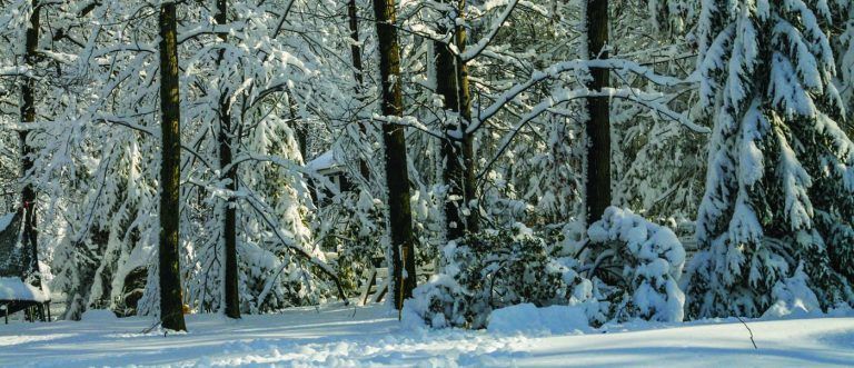 winter in southern md