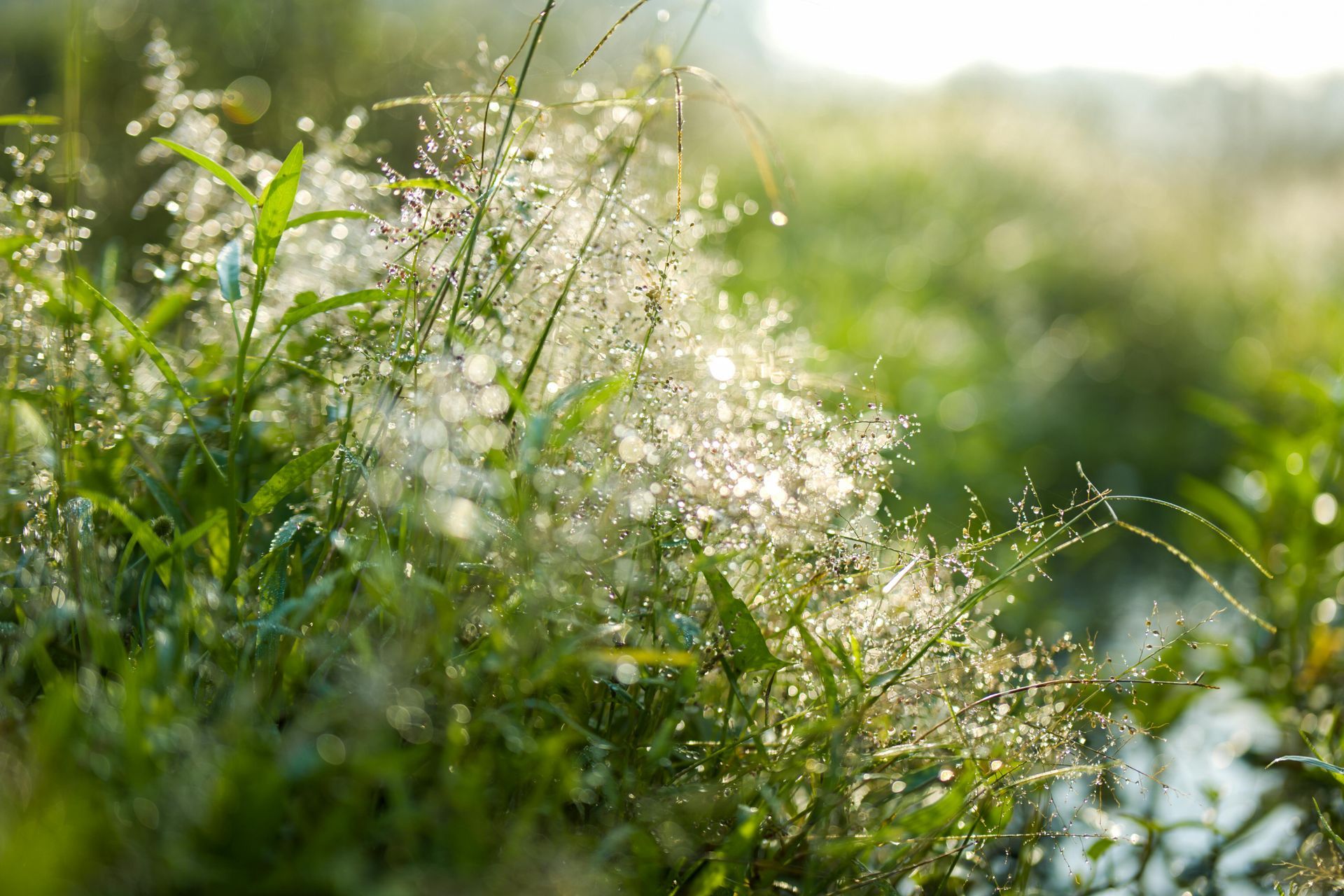 pollen created requires air duct cleaning