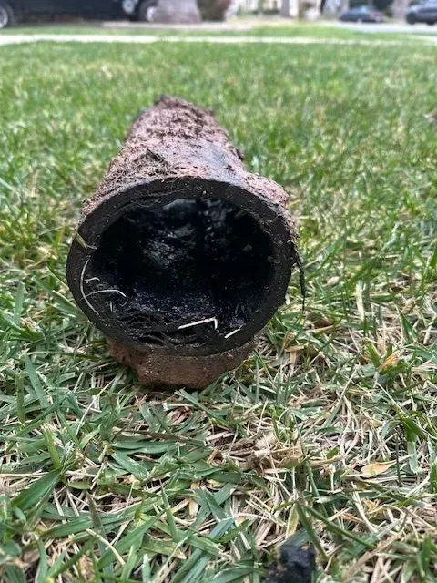 A black pipe filled with dark debris and small white roots, lying on green grass.
