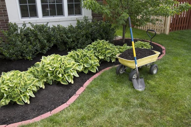 A yellow wheelbarrow filled with dirt and a shovel in a garden.