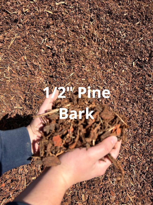 Pine Bark — Bairnsdale, VIC — T & K Jarvis