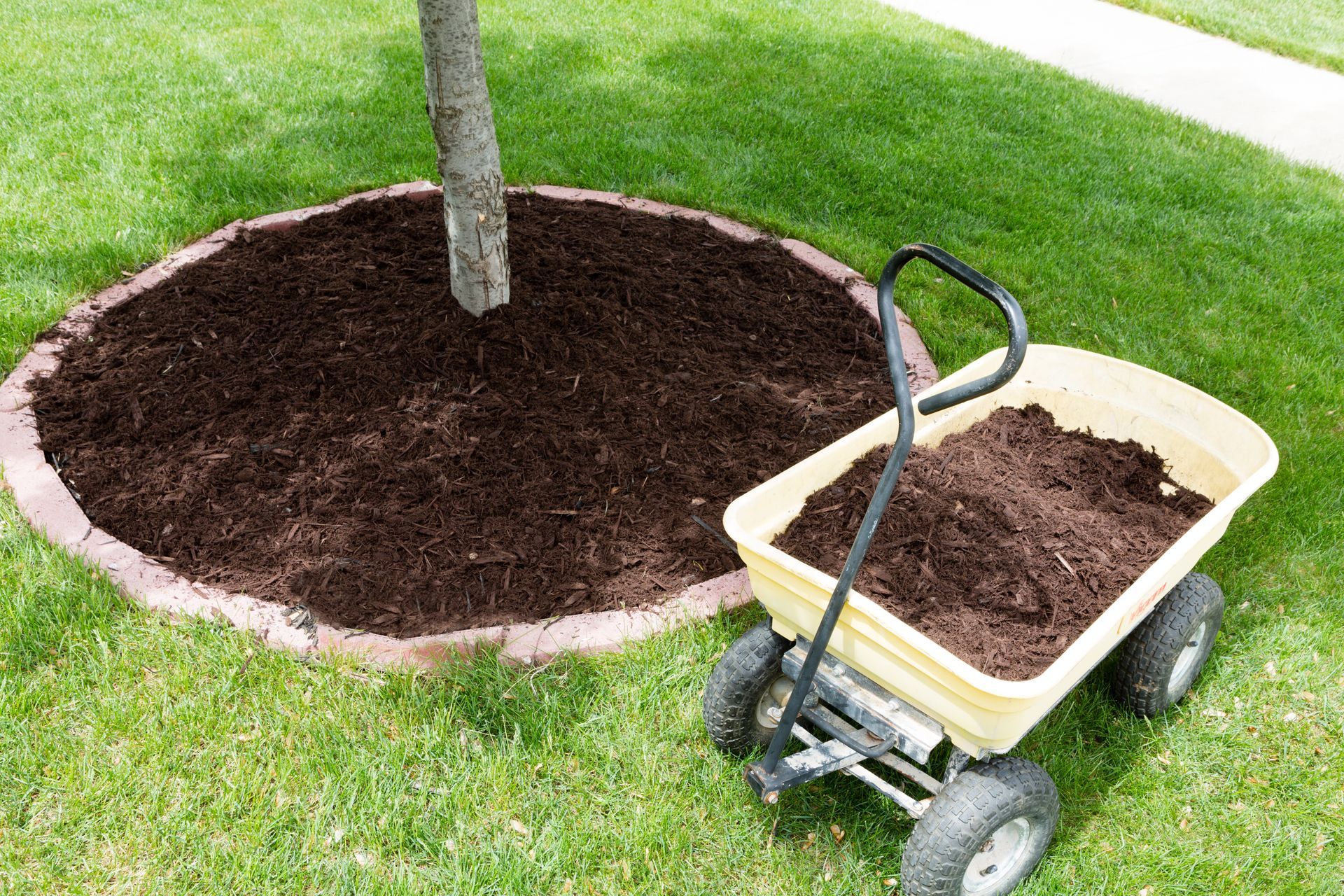 A yellow garden cart filled with mulch is besides a tree surrounded by fresh mulch on grass.