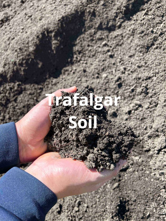 Trafalga Soil — Bairnsdale, VIC — T & K Jarvis