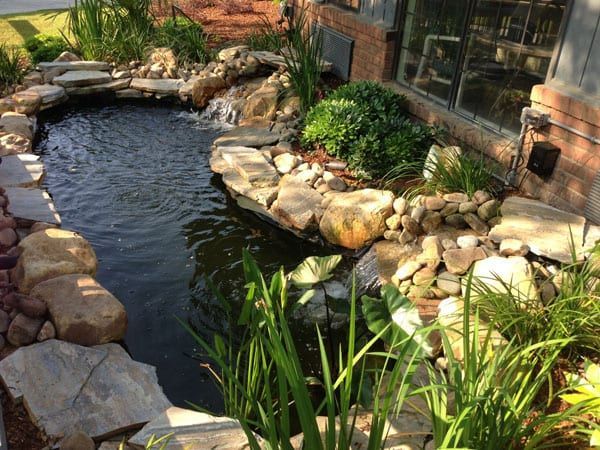 A pond surrounded by rocks and plants in front of a house.