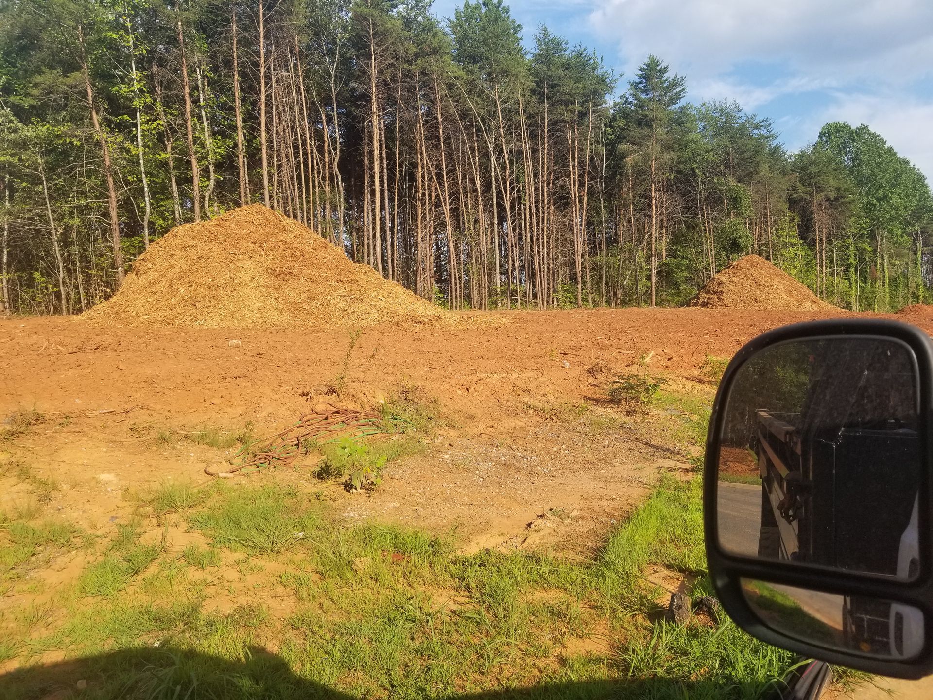 A large pile of dirt is in the middle of a forest.