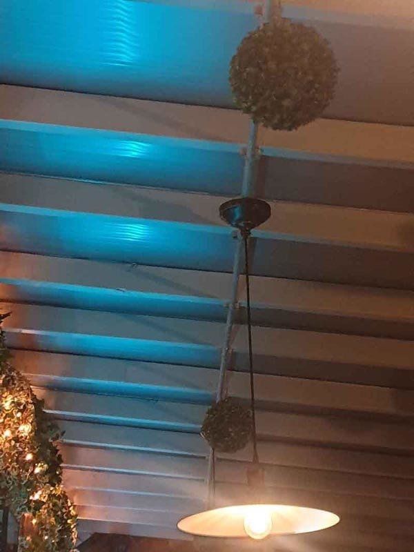 ceiling lamp