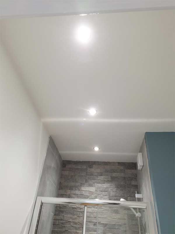 Fire & IP Rated fittings professionally fitted by electrical contractor