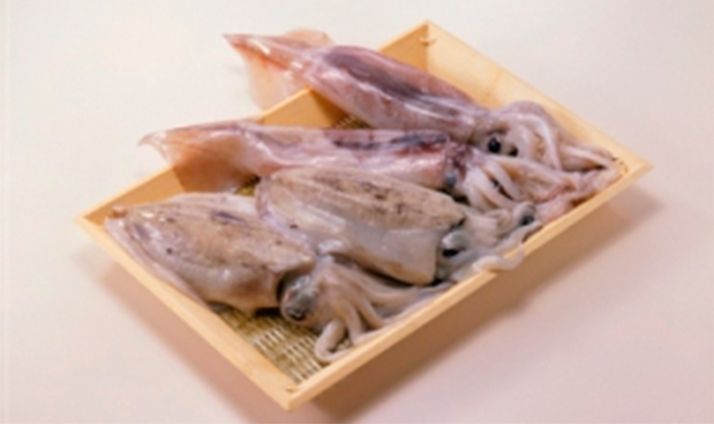 Calamares frescos en bandeja de madera, dispuestos sobre una estera de paja. Colores pálidos con tentáculos visibles.