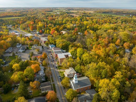 An aerial view of a small town in the middle of a forest.
