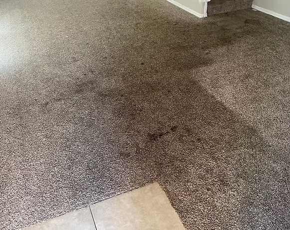 Dirty, stained, speckled gray carpet in a room with a glimpse of a light-colored wall and tiles.