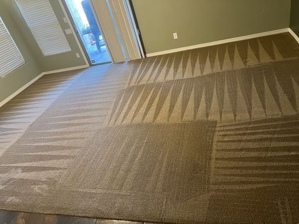 Cleaned brown carpet with various patterned brush strokes, by a sliding glass door and green walls.