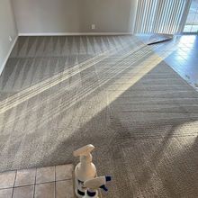 Cleaned carpet in a room with blinds and a bottle of cleaner in the foreground.