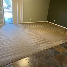 Beige carpeted room with stone tile flooring, green and olive-colored walls.