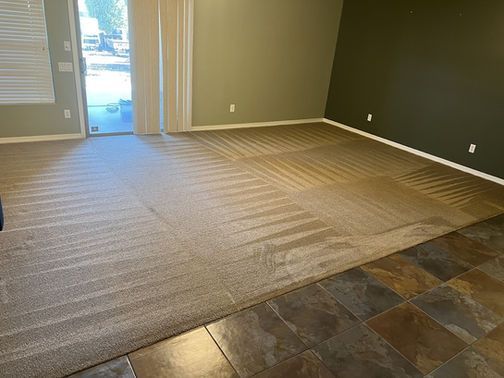 Beige carpeted room, transition to dark tile flooring. Green and olive walls. Sliding glass door visible.