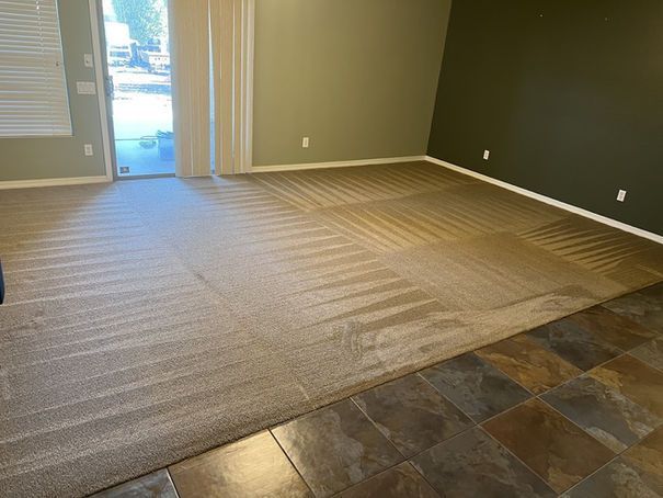 Tan carpeted room with slate tile floor, sliding door, and olive green walls.