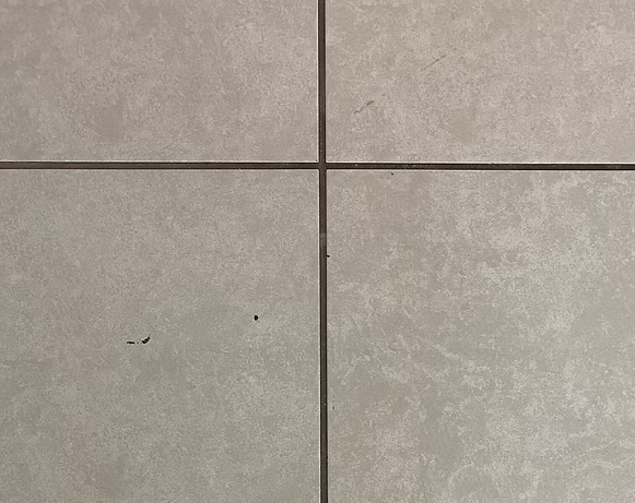 Gray ceramic tile floor with dark grout lines.