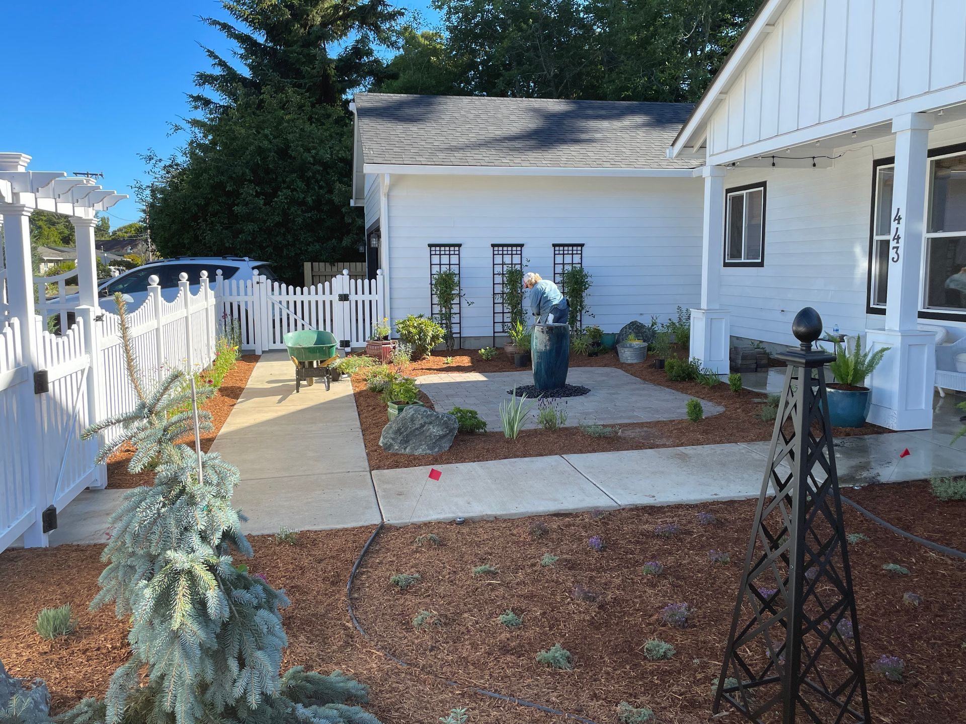 Green and black sprinkler in garden watering purple and pink flowers.
