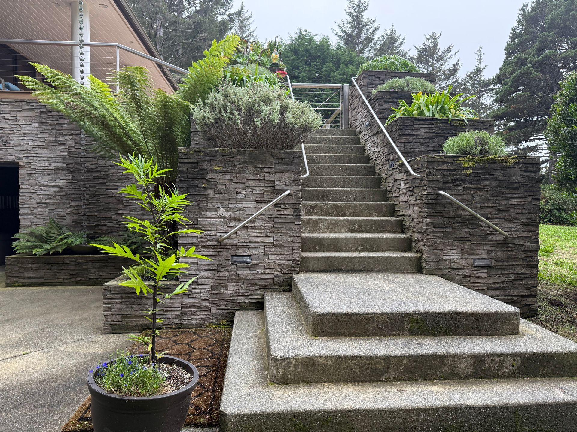 Lush green garden with stone path, shrubs, weeping trees, and a pool.