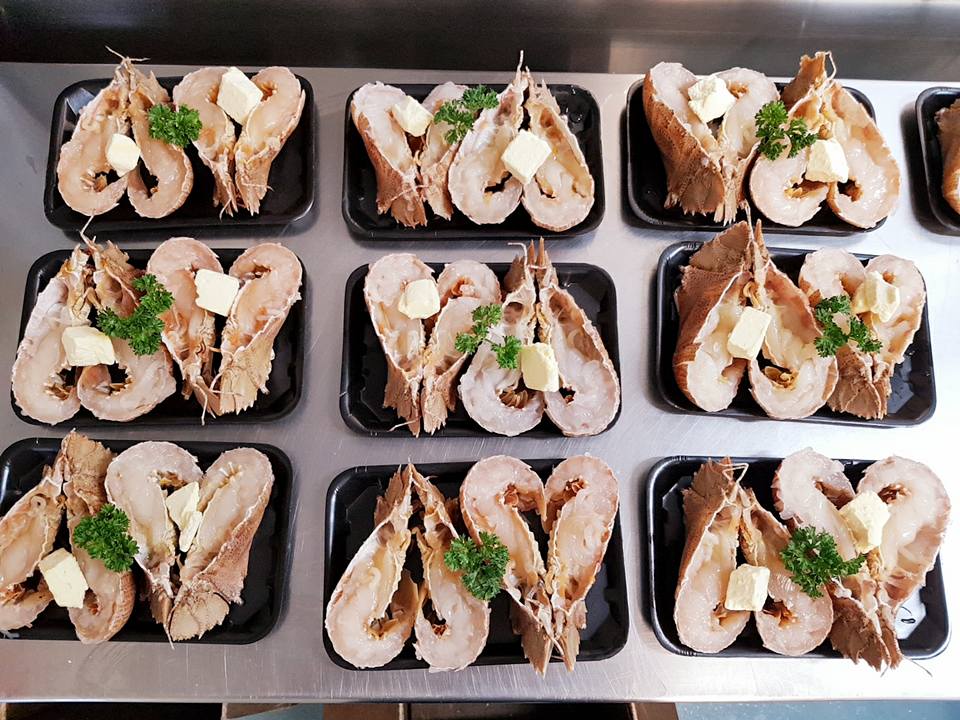 Moreton Bay Bugs — Glenmore Seafoods in Park Avenue, QLD