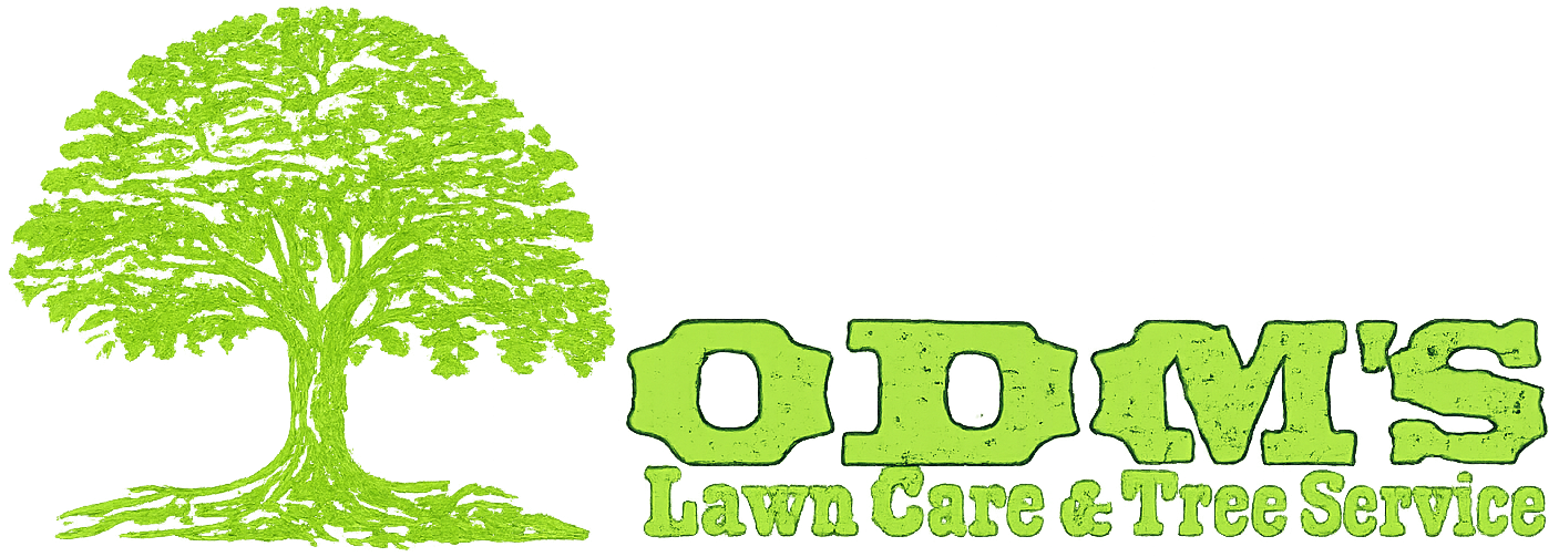 odom's-logo