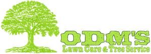 odom's-logo