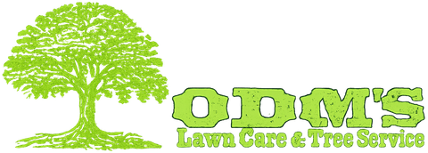 odom's-logo