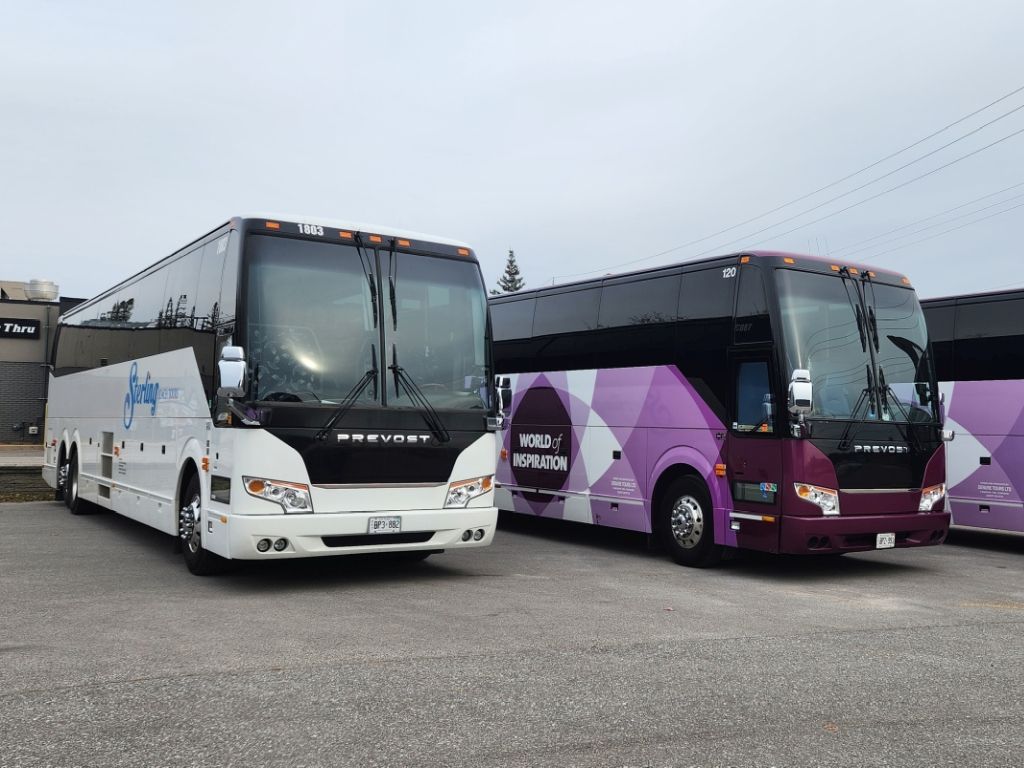 Sterling Coach white bus alongside DeNure Tours purple bus, November 2023.