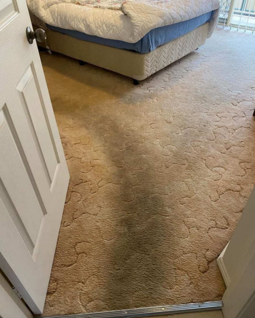 Before Rug Cleaning — Carpet Cleaning in Anna Bay, NSW