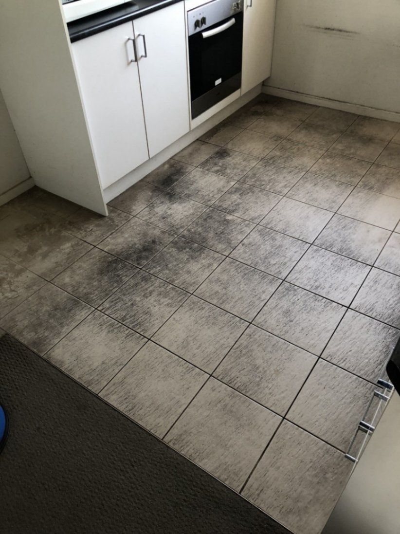 Before Tile Cleaning — Carpet Cleaning in Anna Bay, NSW