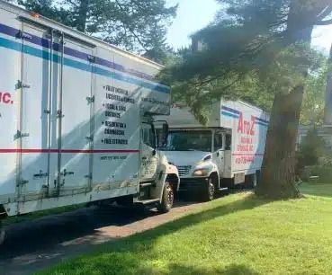 Two white moving trucks parked on grass beside a large tree in a sunny yard