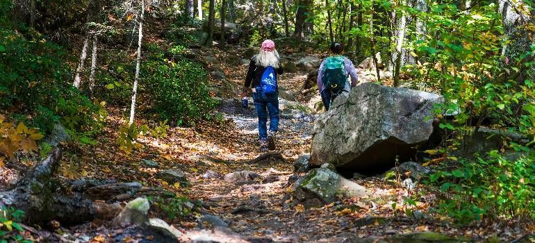 Couple walking in walkable towns in Western Massachusetts park