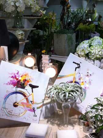 piante e composizioni floreali