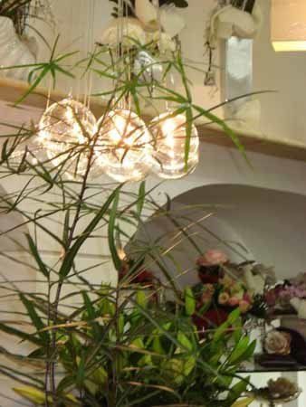 pianta con elementi decorativi