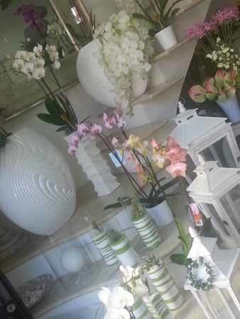 fiori e decorazioni per la casa