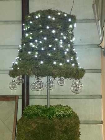 albero sempreverde con luci