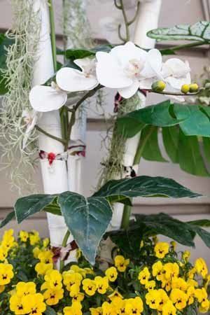 vendita di piante e fiori