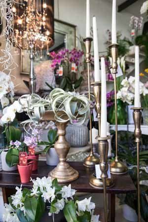 negozio di fiori e decorazioni