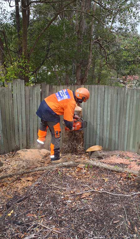 Backyard Stump Removal Service — Buderim, QLD — True Blue Tree and Stump Removal