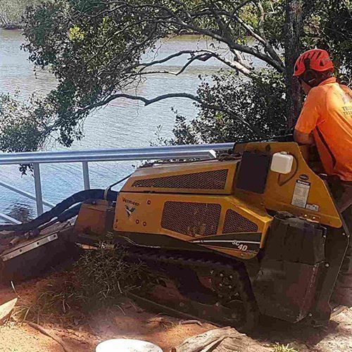 Same Day Response Stump Removal — Buderim, QLD — True Blue Tree and Stump Removal