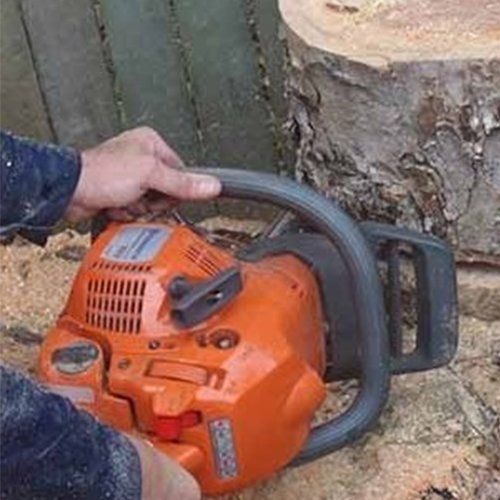 Tree Stump Removal Expert — Buderim, QLD — True Blue Tree and Stump Removal