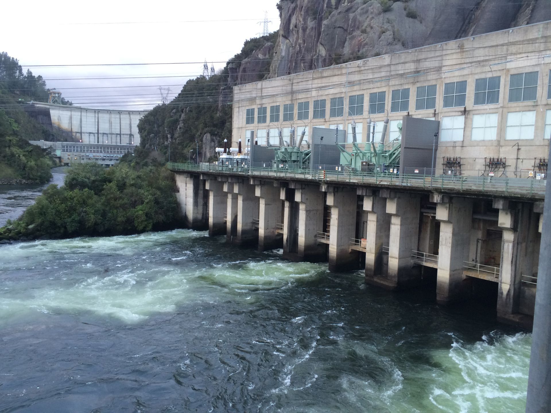 Mercury Governor Plant