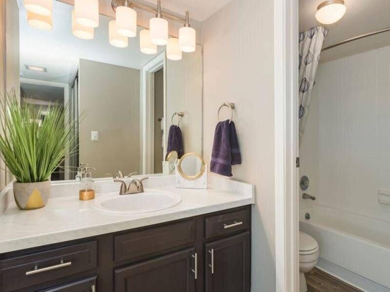 Preserve at City Center Bathroom with a single vanity, large mirror, plant, and shower/tub in an apartment.