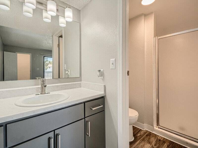 Preserve at City Center Bathroom in an apartment with vanity, sink, mirror, toilet, and glass shower.