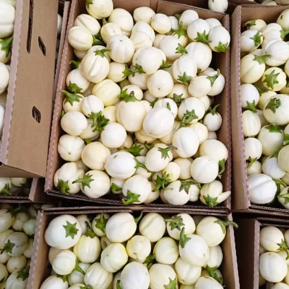 A bunch of boxes filled with white eggplant with green stems