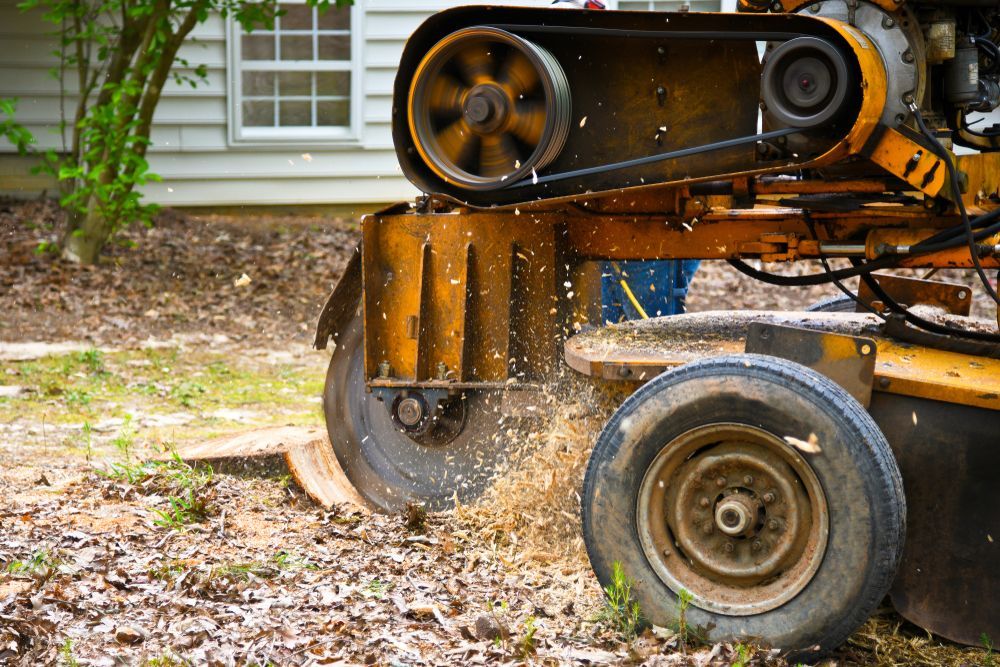 Yellow Stump Grinder Grinding a Tree Stump in Front of A House — AAA Trees On Tweed in Suffolk Park, NSW